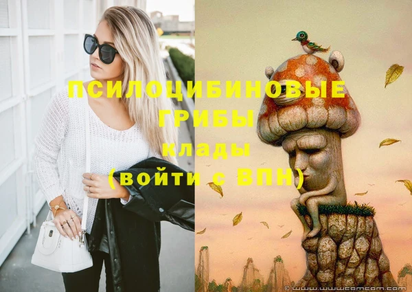 дмт Алексеевка